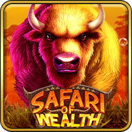 Safari_wealth